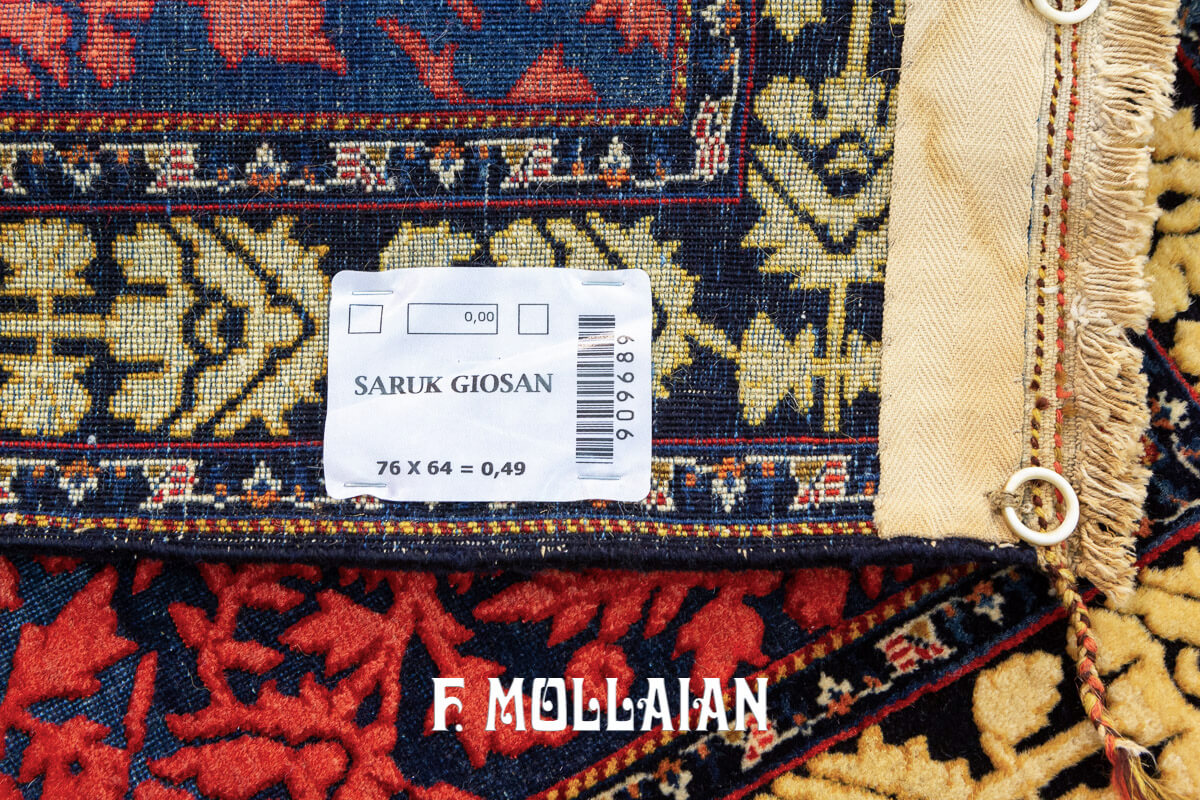 Sarouk Rug Giosan Relief Floral Design n°:909689