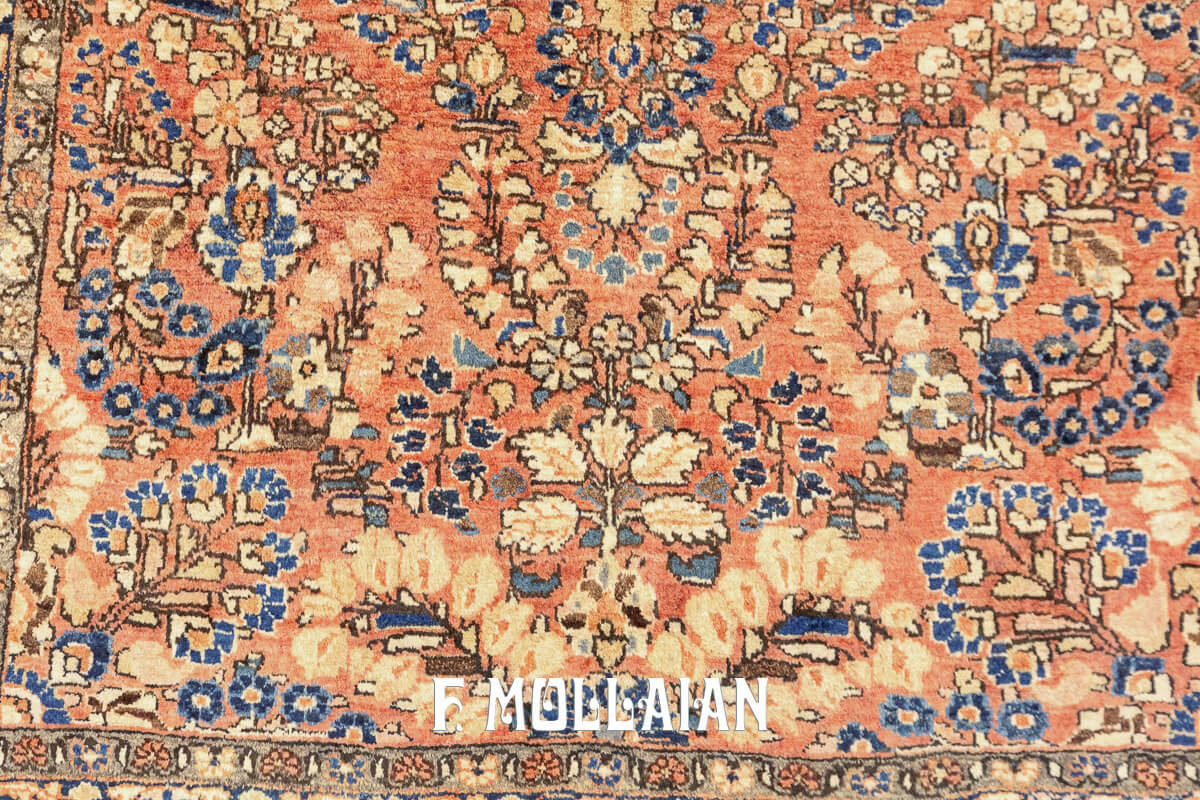Sarouk Rug Salmon Color n°:24649121
