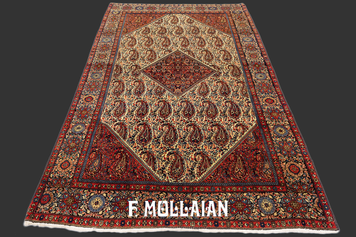 Sarouk Farahan Rug