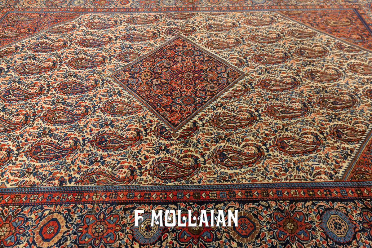Sarouk Farahan Rug