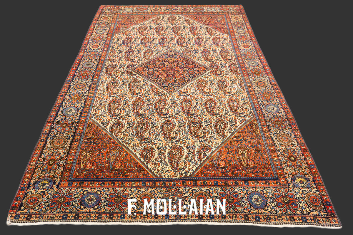 Sarouk Farahan Rug
