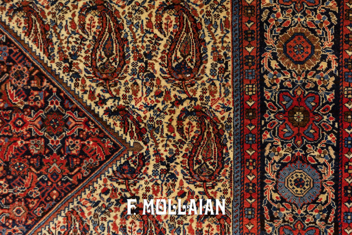 Sarouk Farahan Rug