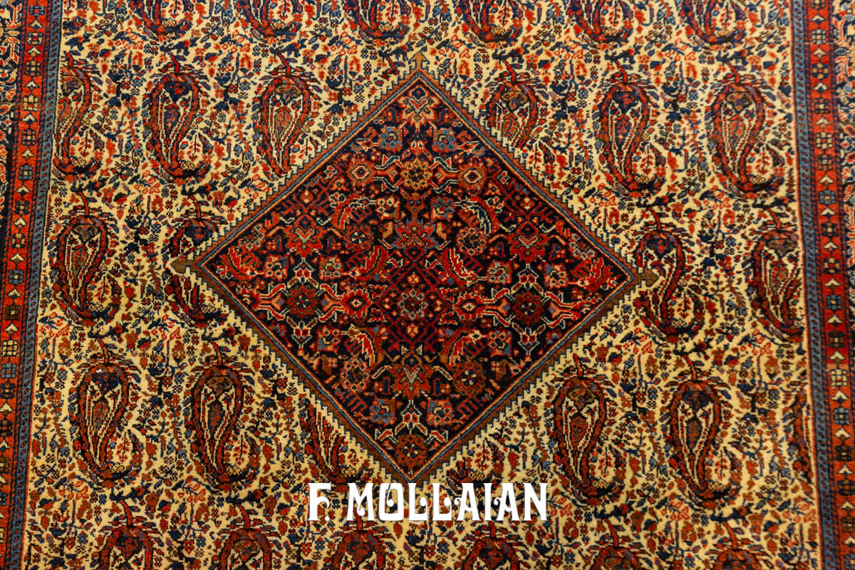 Sarouk Farahan Rug
