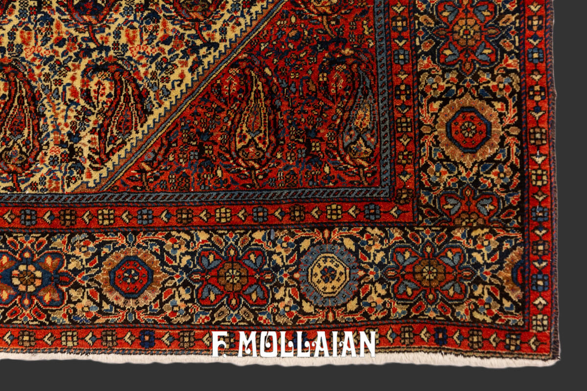 Sarouk Farahan Rug