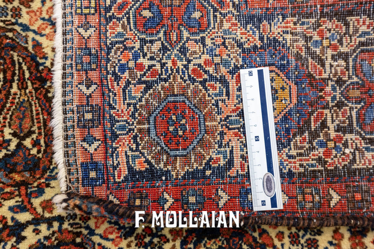 Sarouk Farahan Rug