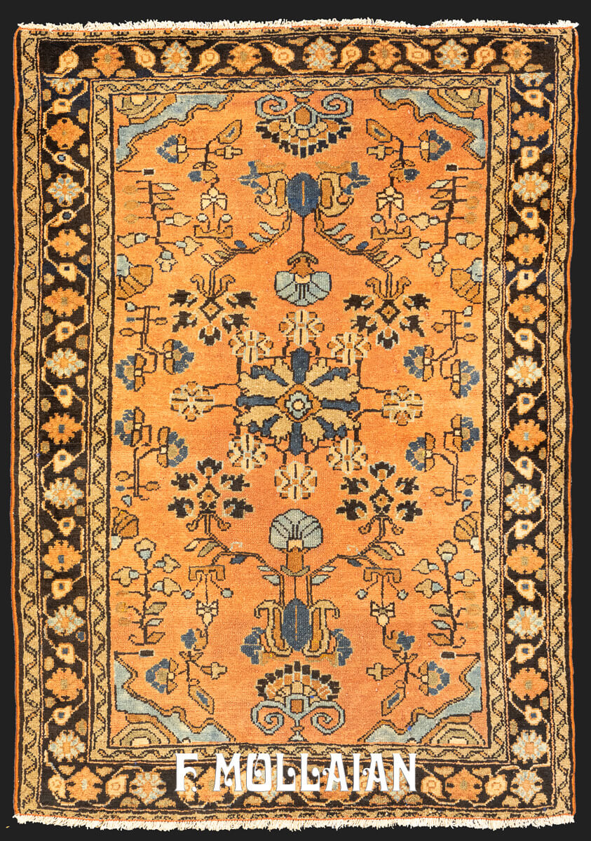Lilian Rug Persian n°:36877355