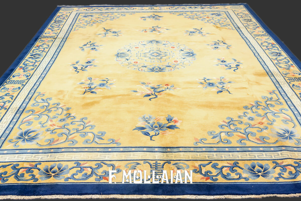 Antique Chinese Rug Nichols
