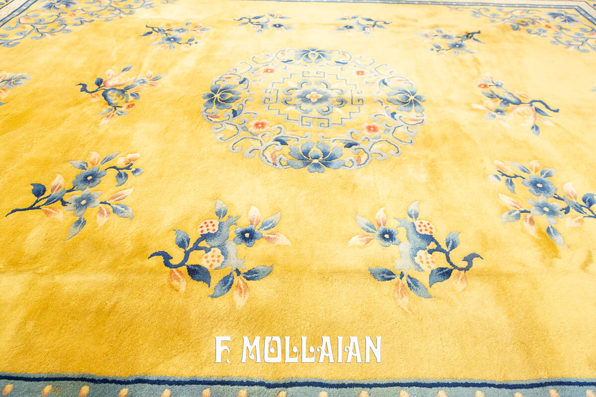 Antique Chinese Rug Nichols