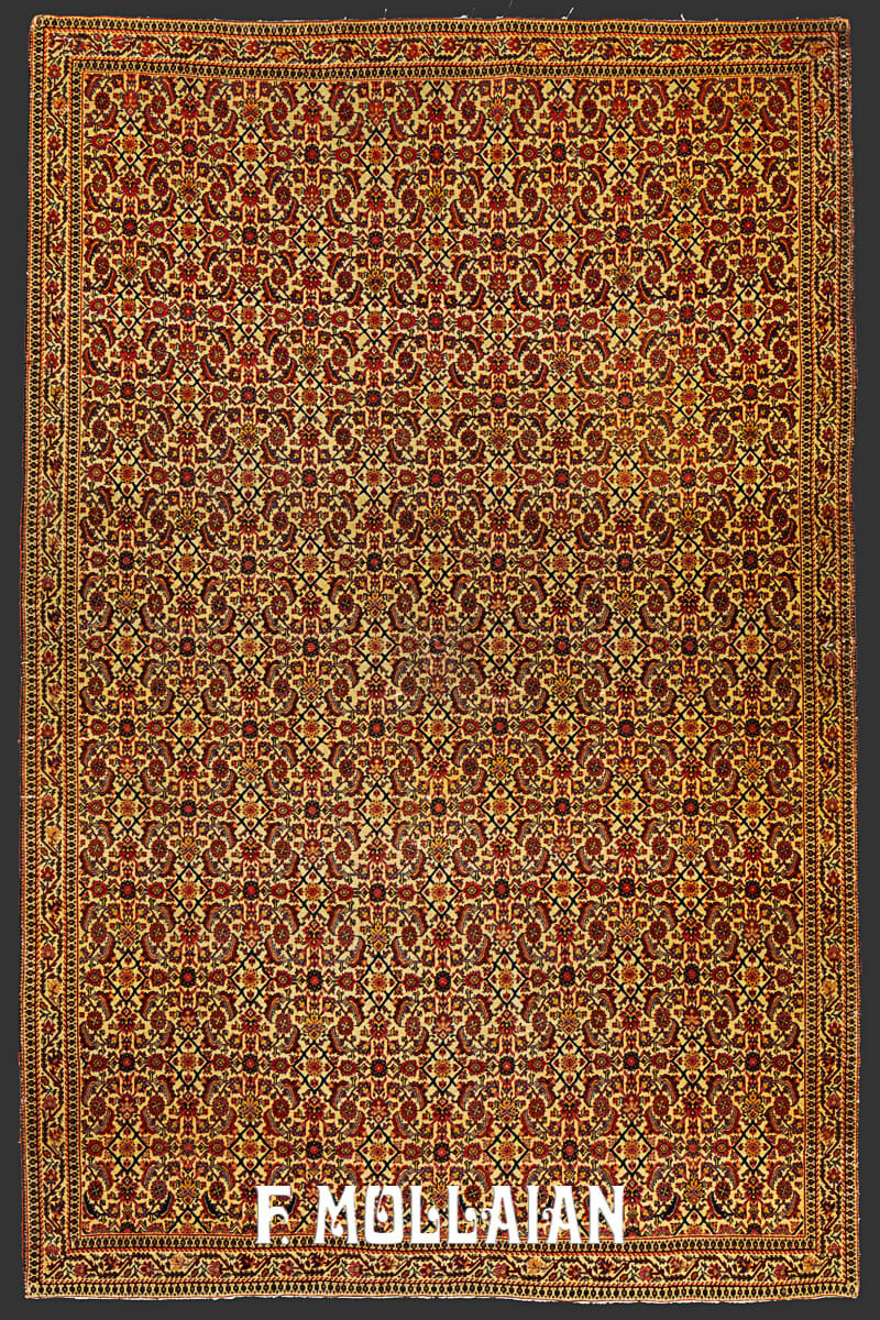 Sarouk Farahan Rug All-over Field n°:579367