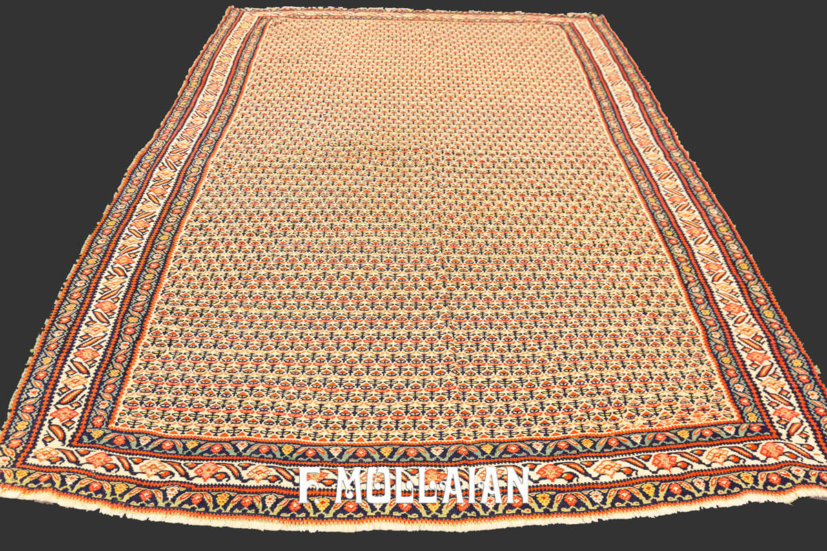 Tapis Kilim Ancien Senneh Extra Fin n°:842119