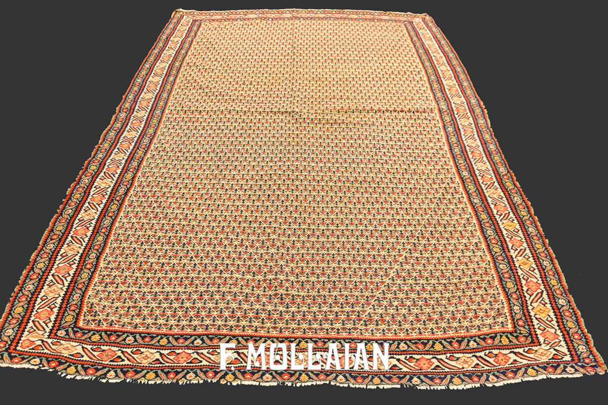 Tapis Kilim Ancien Senneh Extra Fin n°:842119
