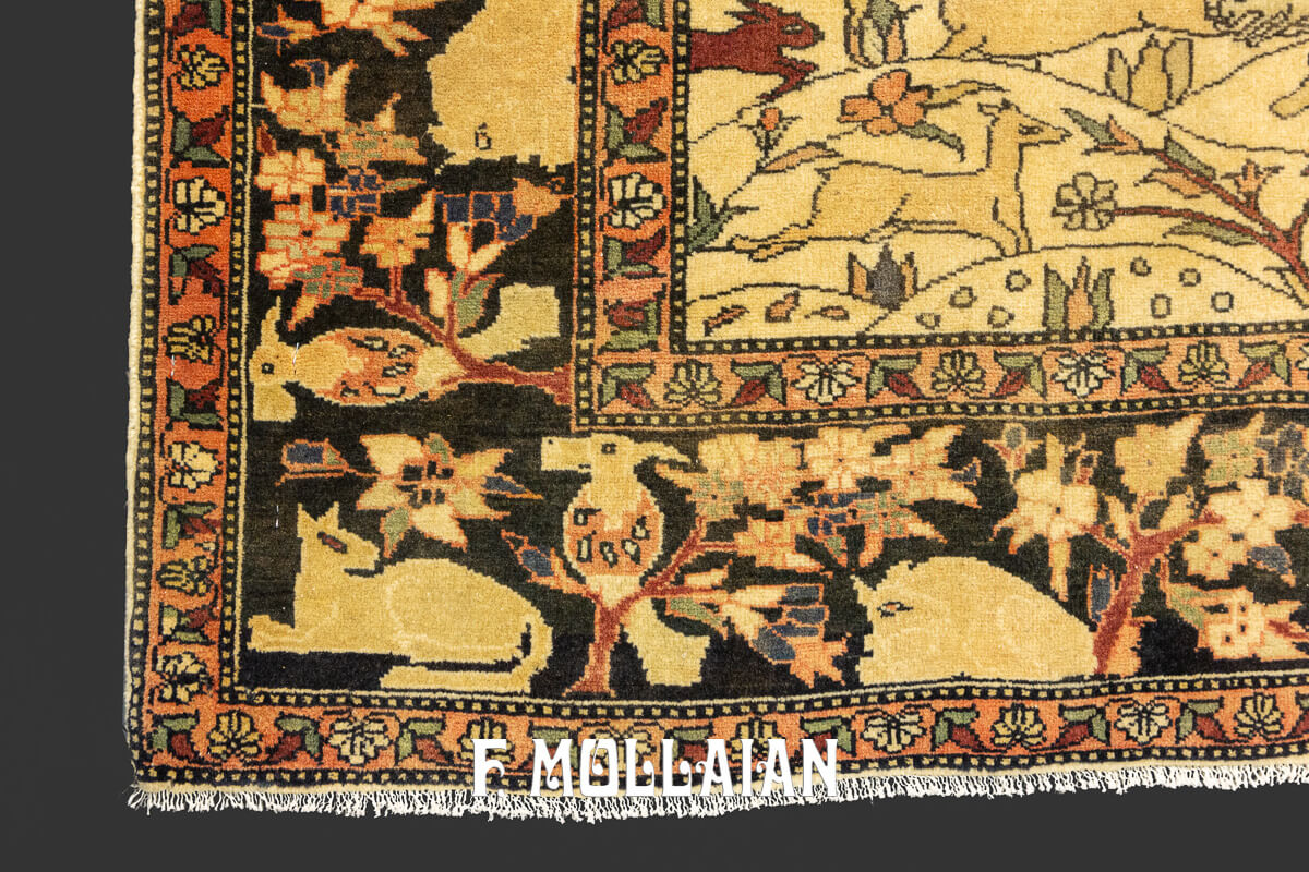 Tappeto Saruk Farahan
