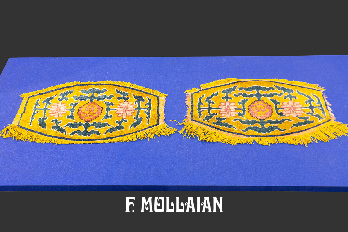 Rare Rug Pair Kashghar Silk n°:254579-372876