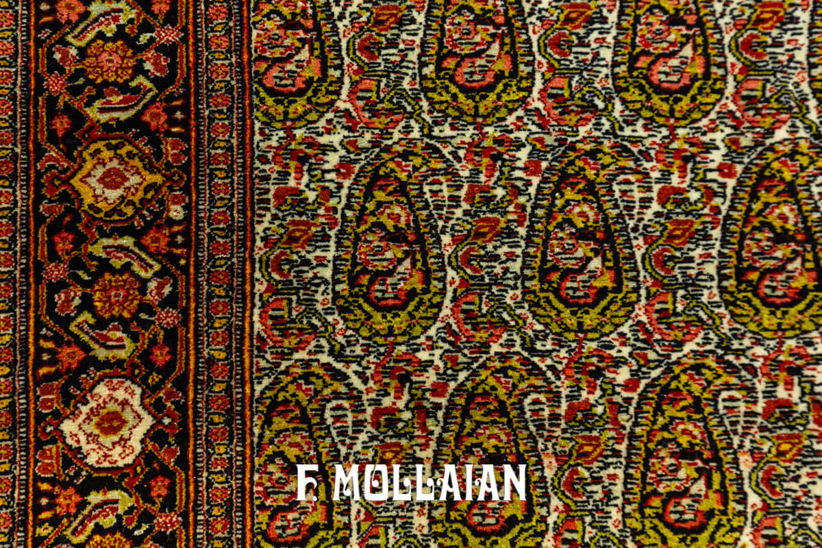 Seneh Rug All-over Botteh n°:583151