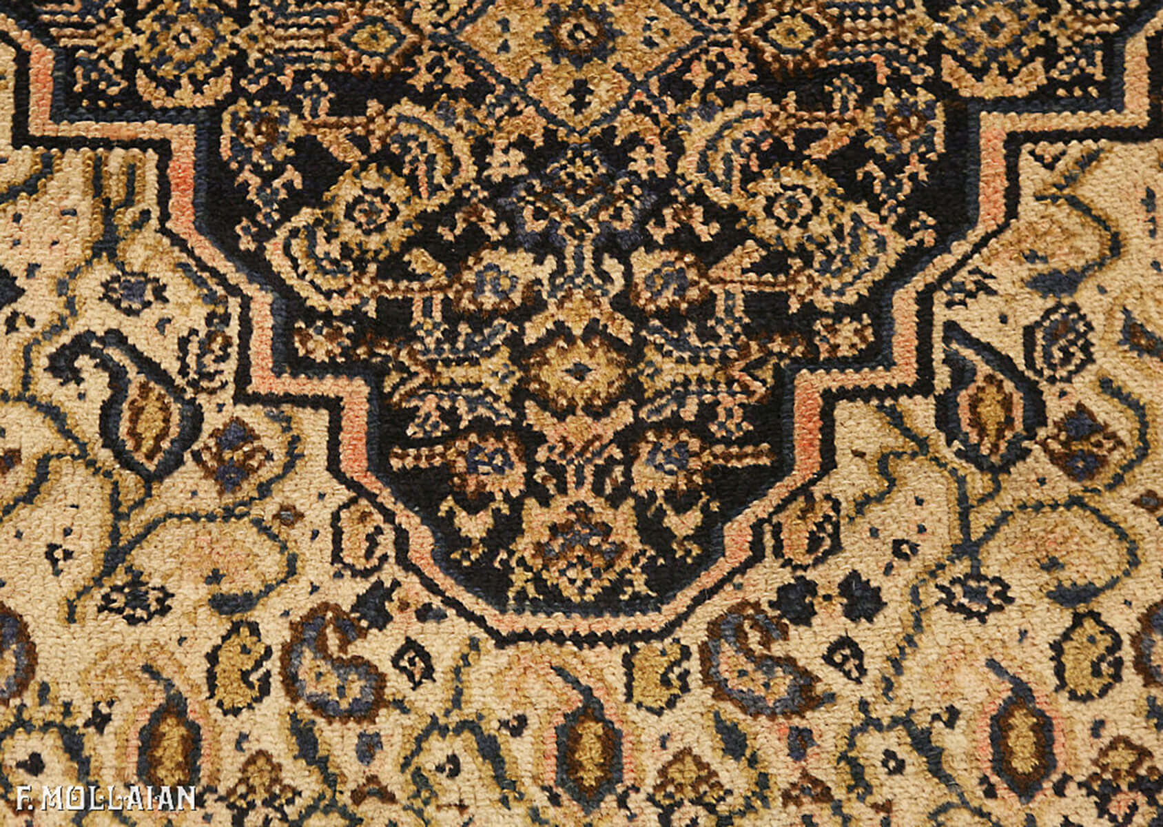 Senneh Runner